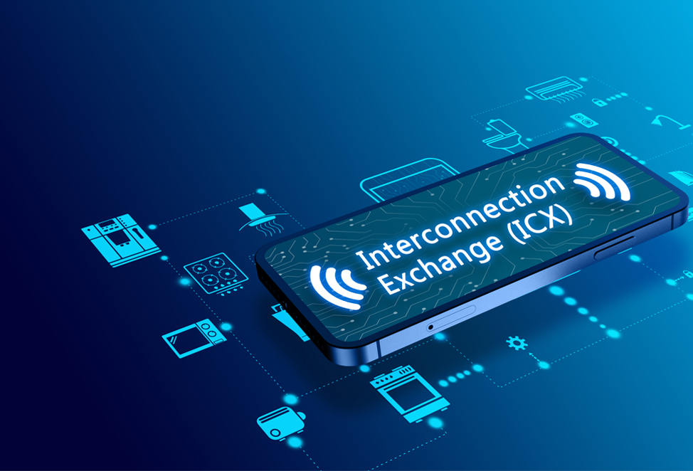  Interconnection Exchange (ICX) 