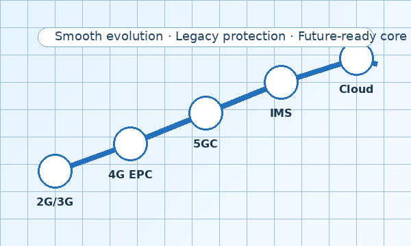 flexible_network_evolution_600px flexible_network_evolution_600px